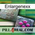 Enlargenexx 38